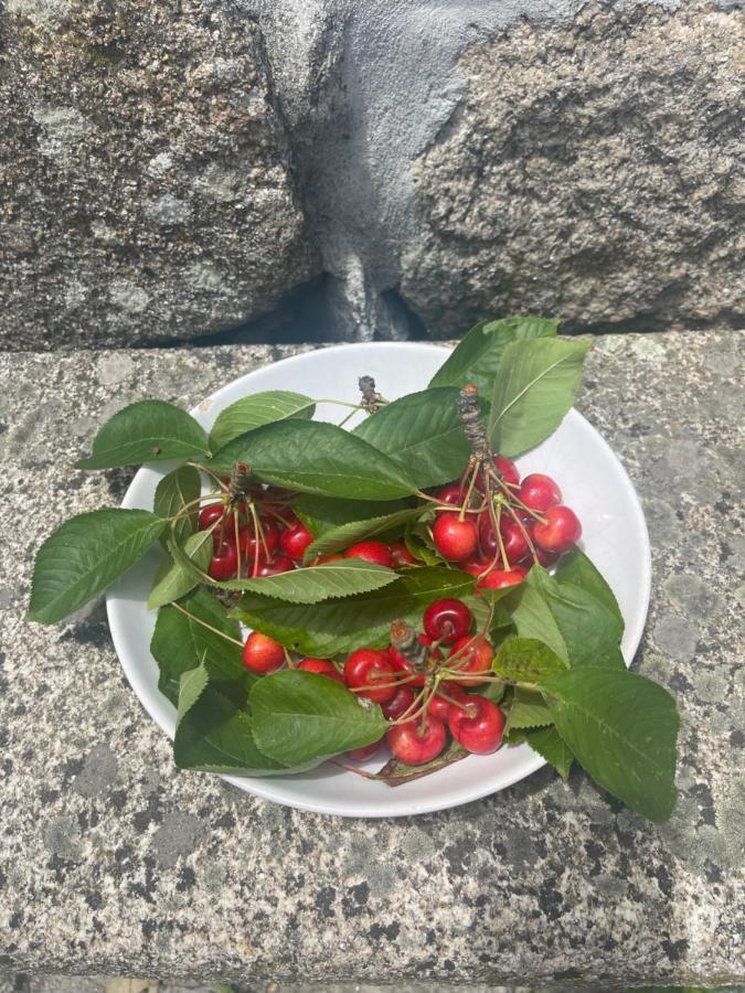 알리조 Casa Da Burra 빌라 외부 사진