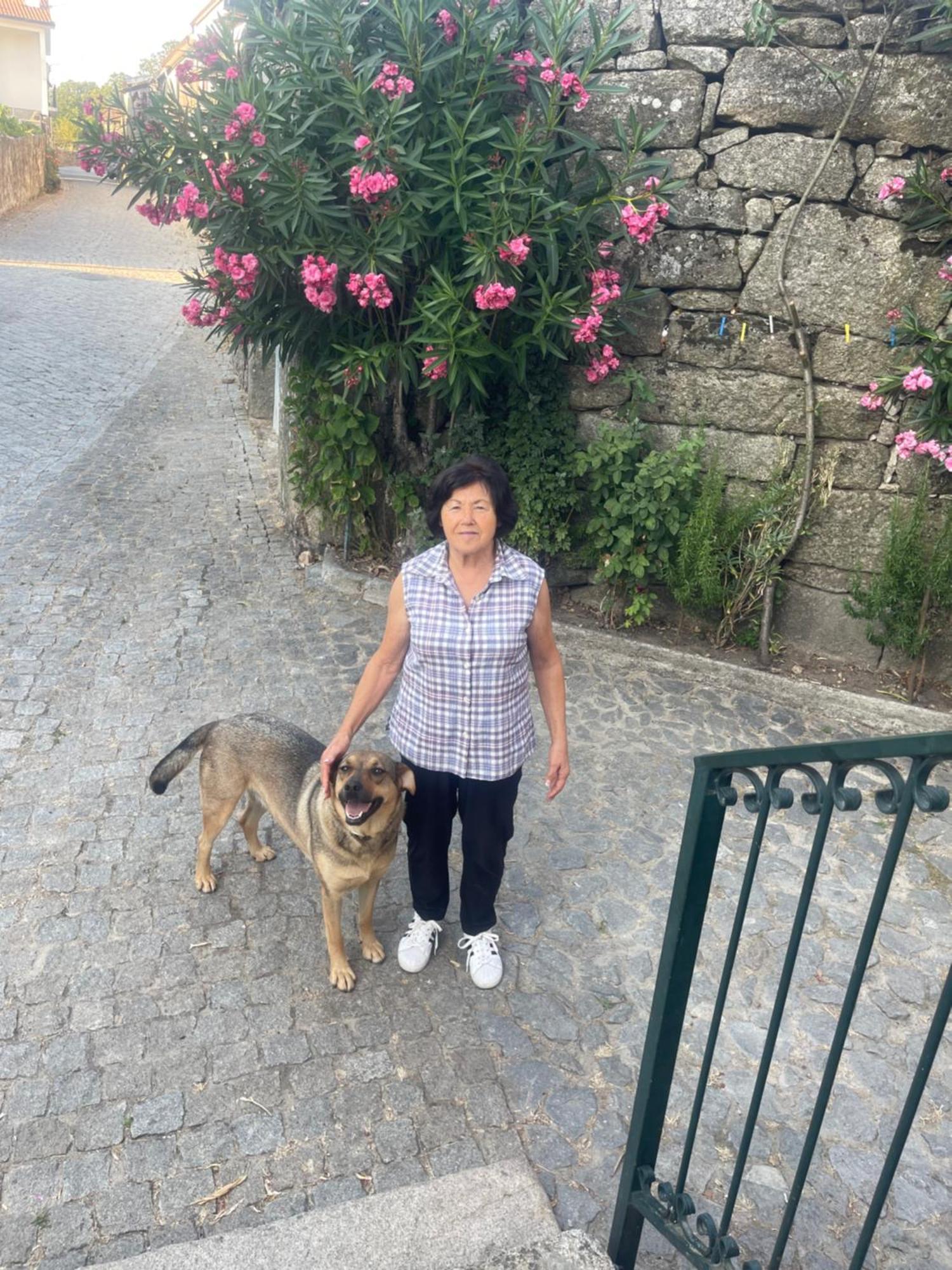 알리조 Casa Da Burra 빌라 외부 사진
