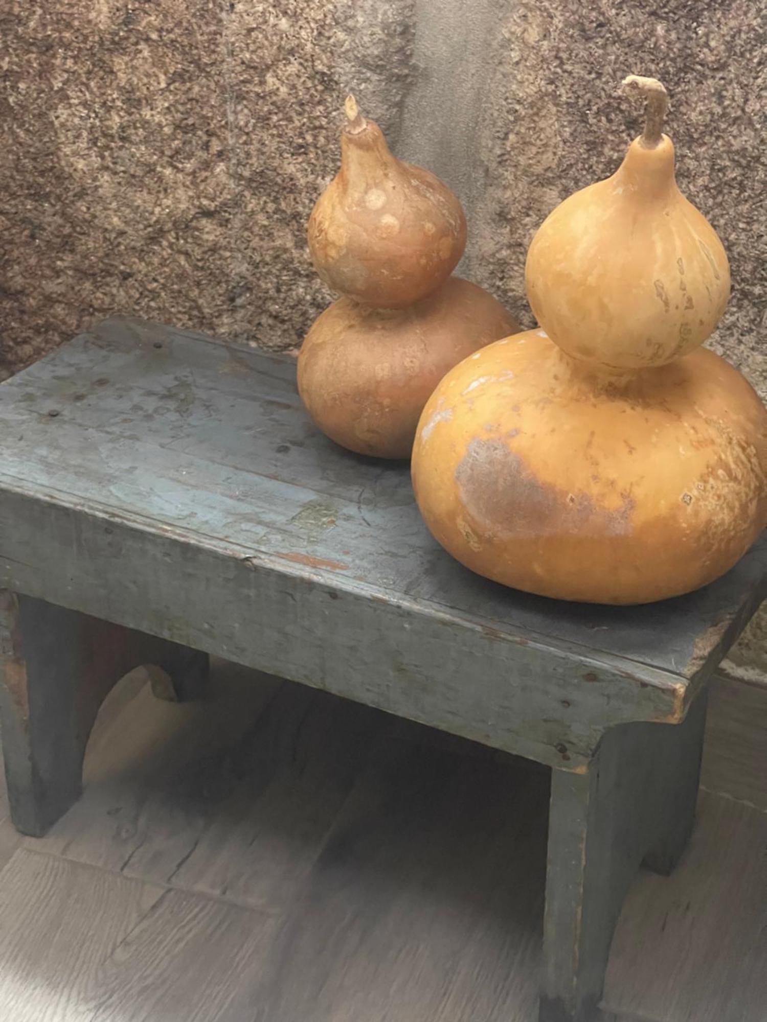 알리조 Casa Da Burra 빌라 외부 사진